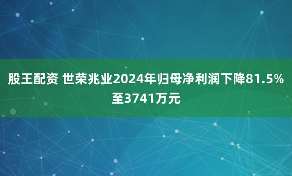 股王配资 世荣兆业2024年归母净利润下降81.5%至3741万元